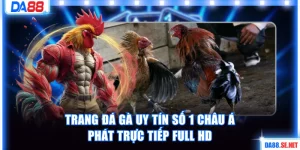 Trang đá gà uy tín